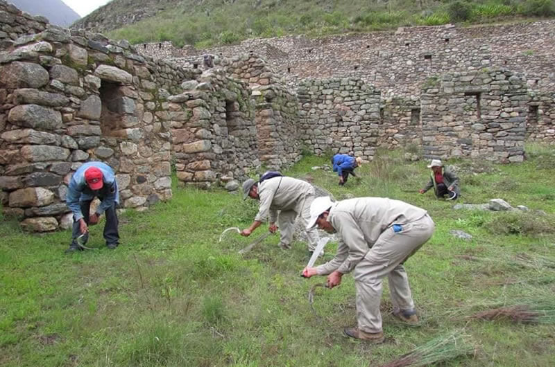 Mantenimiento Camino Inca