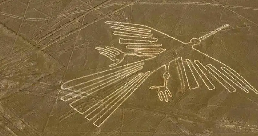 Condor
