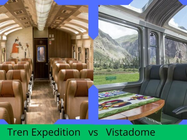 Tren Vistadome vs Expedition: ¿Vale la pena pagar más?