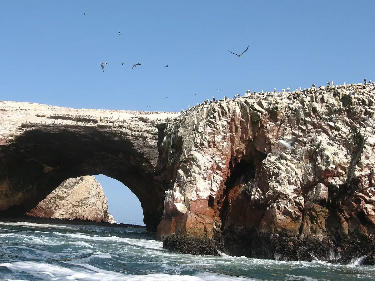 Best Time and Schedule to Visit the Ballestas Islands: When to Go and Why Tours Leave Early