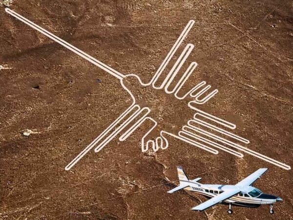 Nazca Lines Flight: Prices, Duration, and What to Expect Before, During, and After
