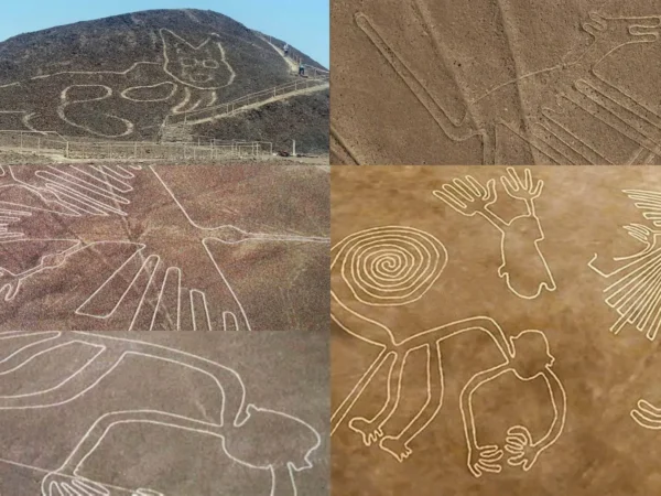 Most Important Nazca Figures: Hummingbird, Monkey, Astronaut, and More