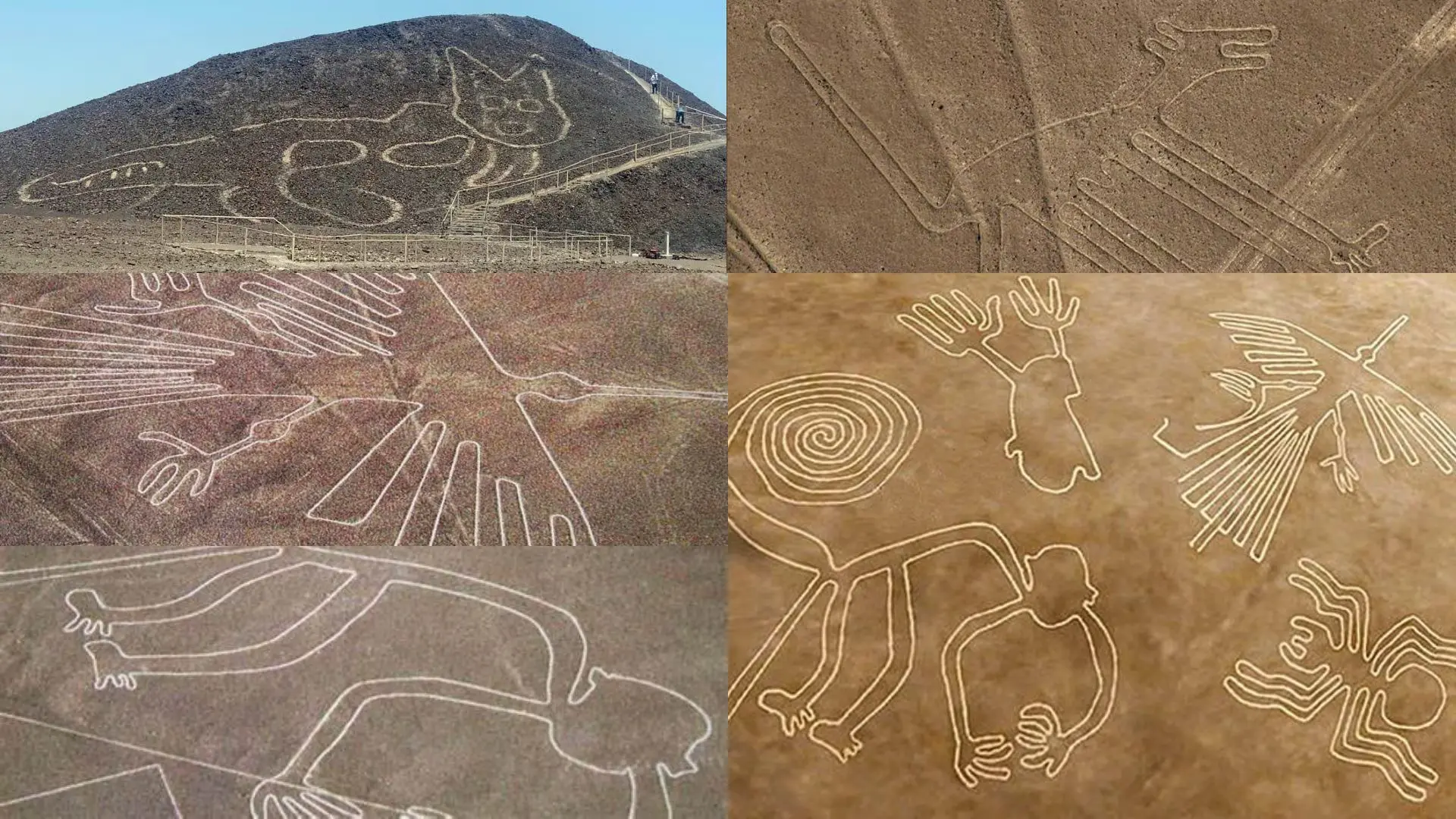 Figuras de Nazca más importantes: colibrí, mono, astronauta y más