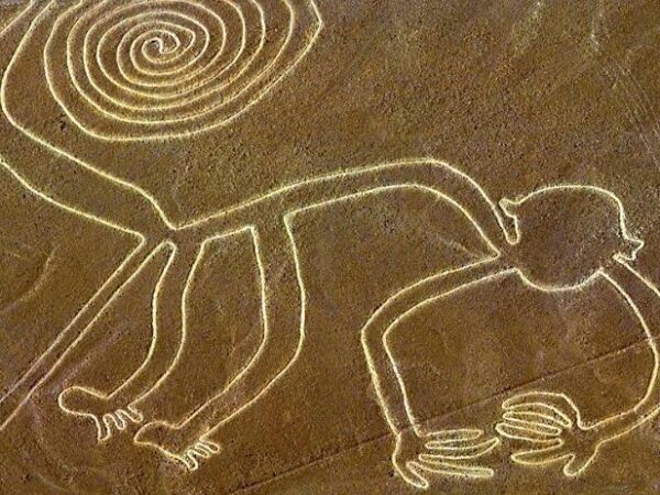 Nazca Lines from the Air vs. from the Lookout