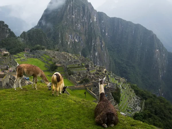 Cómo llegar a Machu Picchu desde Cusco: Guía Completa