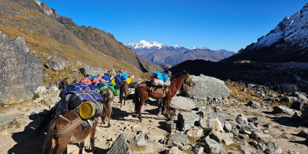 Traslado de equipajes por arrieros y otro por porteadores