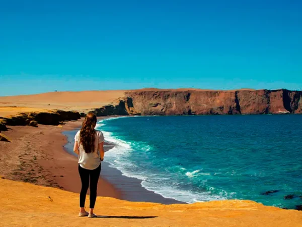 Paracas National Reserve vs. Ballestas Islands: What Each Experience Offers