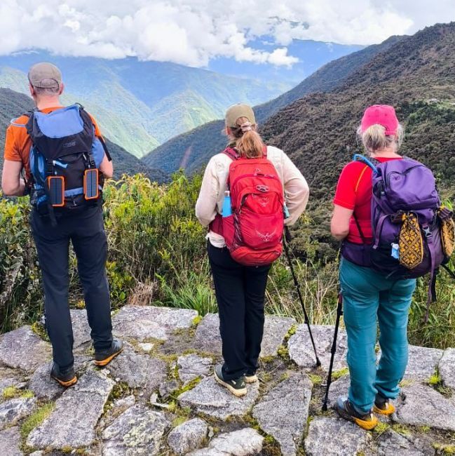 llevar bastones de trekking 