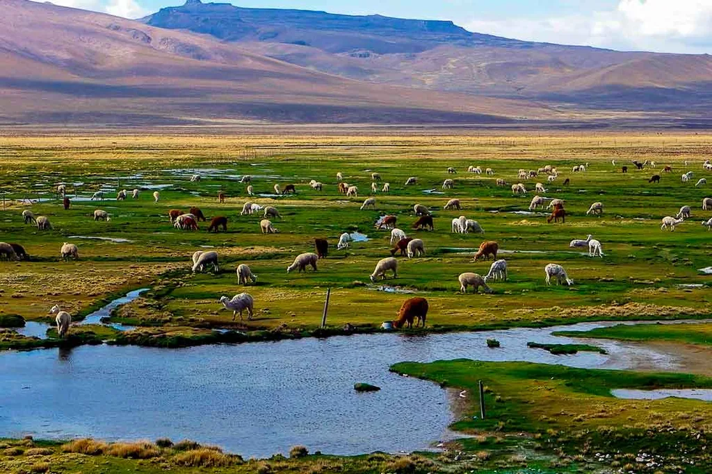 Salinas and Aguada Blanca National Reserve