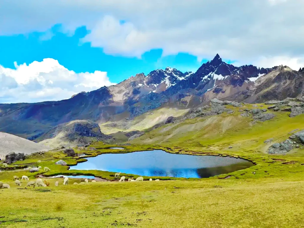 Seven Lagoons with llamas
