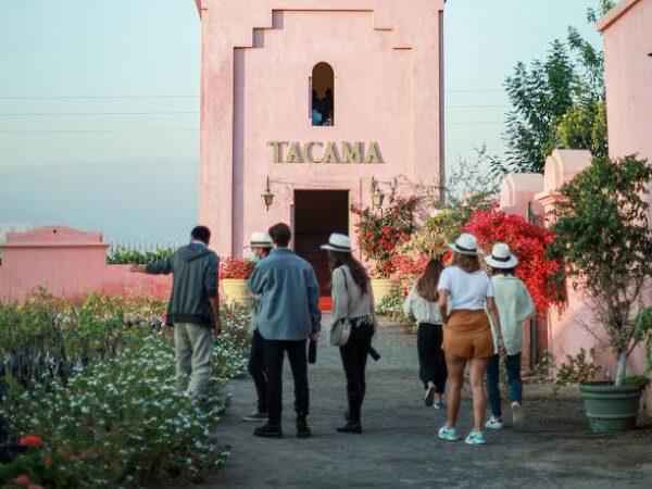 What to Do in Ica Beyond Huacachina: Wineries, Pisco, and Places to Visit