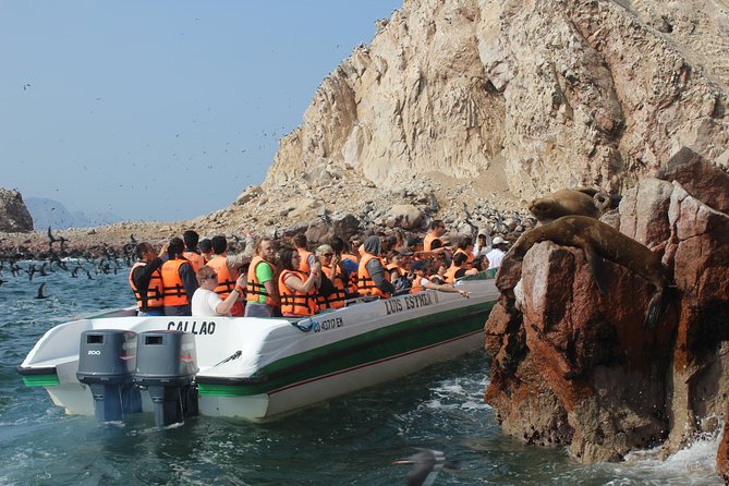 Ballestas Islands