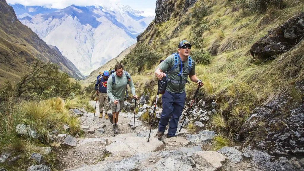 Bastones de Trekking