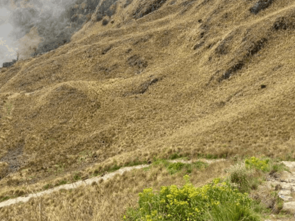 Inca Trail for seniors over 50: tips