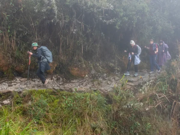 Inca Trail in the rainy season: Important facts before your trip