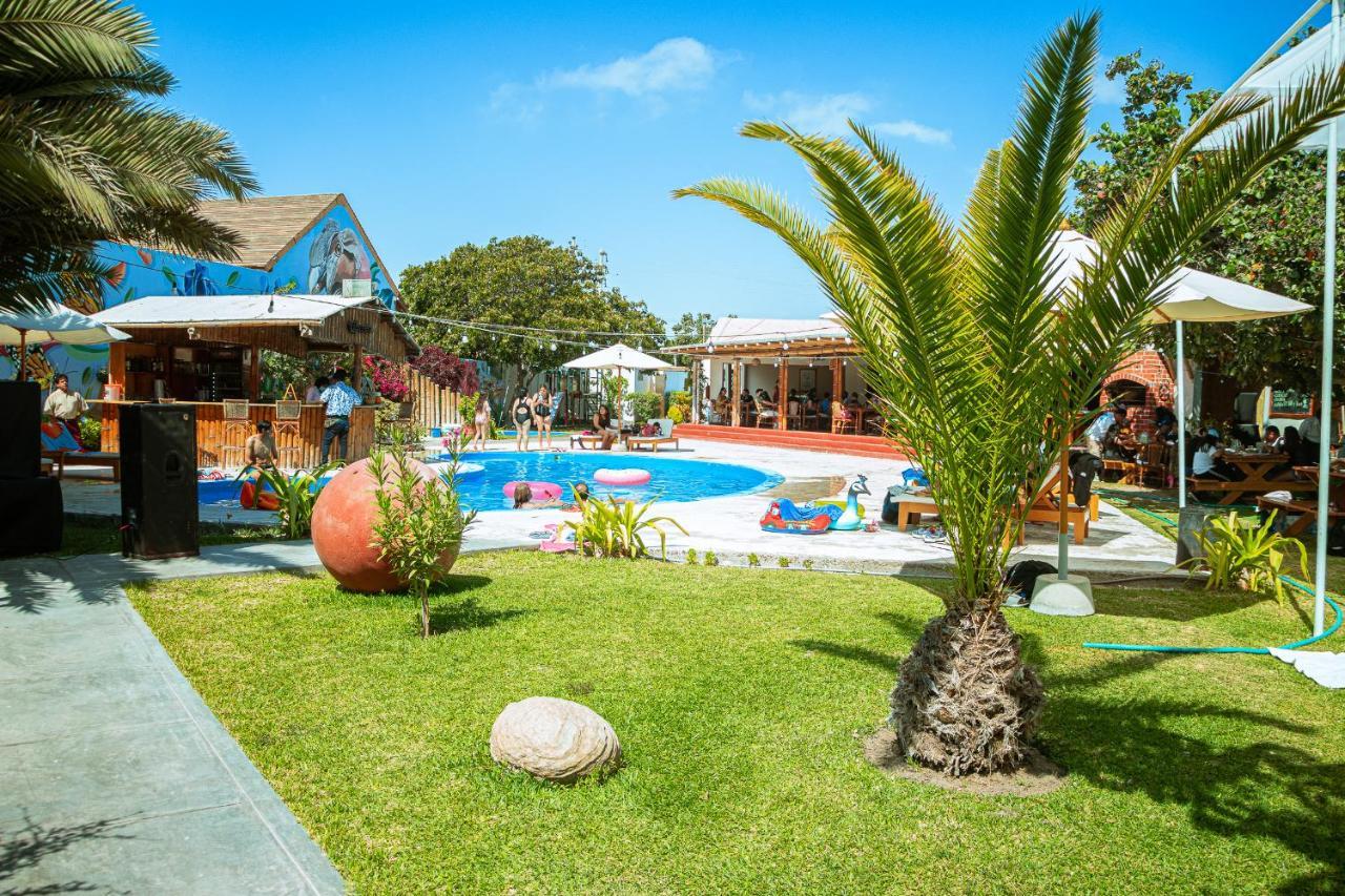 Paracas or Ica: Where to Stay Based on Your Next Stop