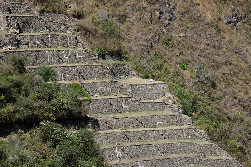 Stone llama terraces at Choquequirao