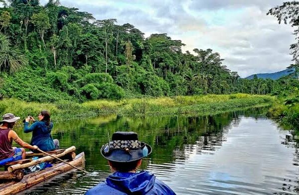 Tambopata o Manu: cuántos días dedicarle a la selva del sur del Perú y cómo elegir