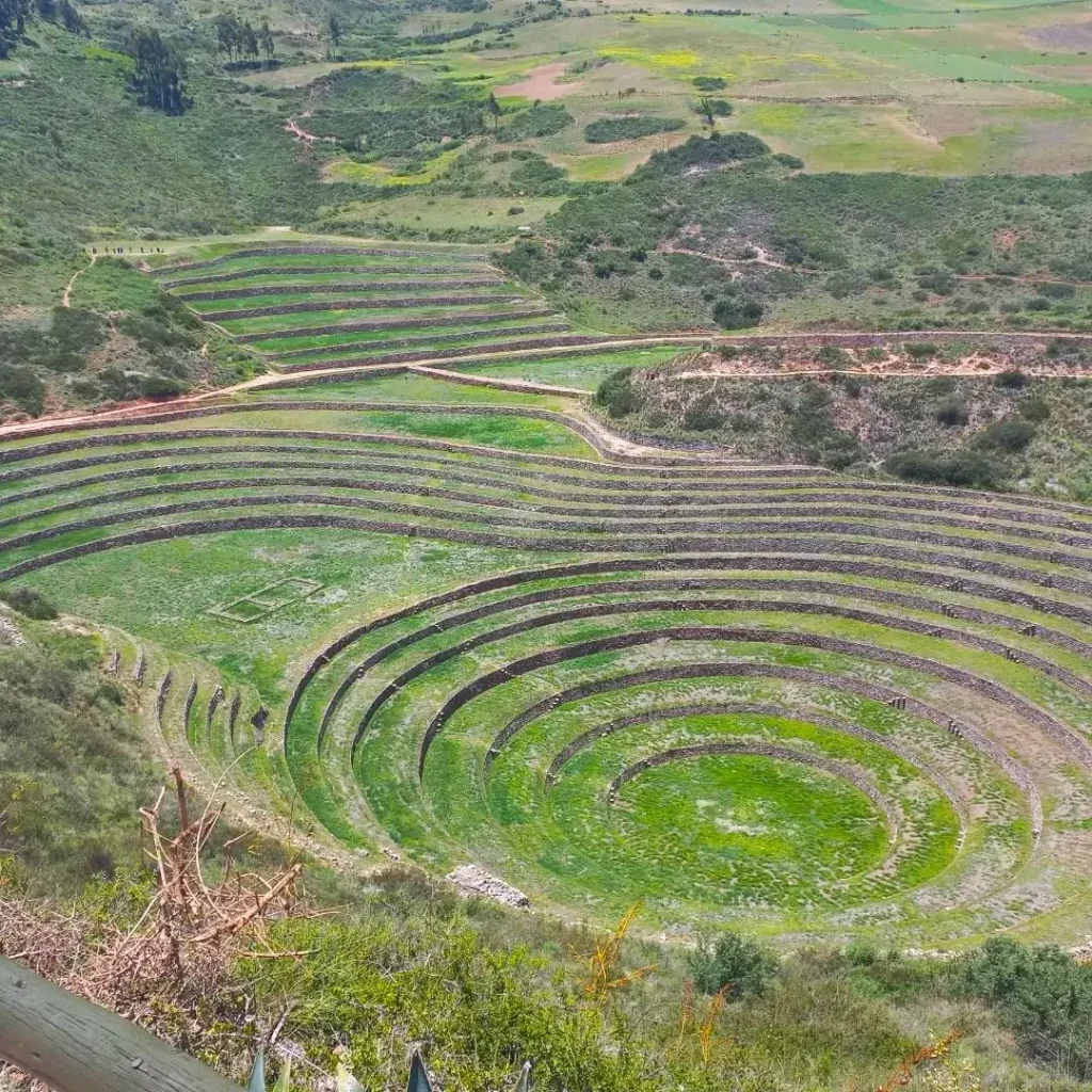 MORAY