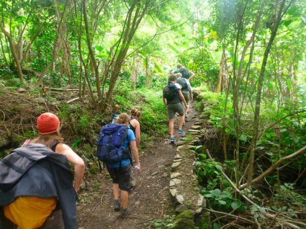 Cuánto cuesta el Camino Inca : desglose real de precios por tipo de servicio