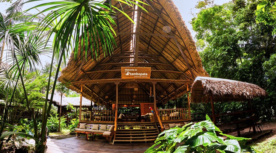 Tambopata