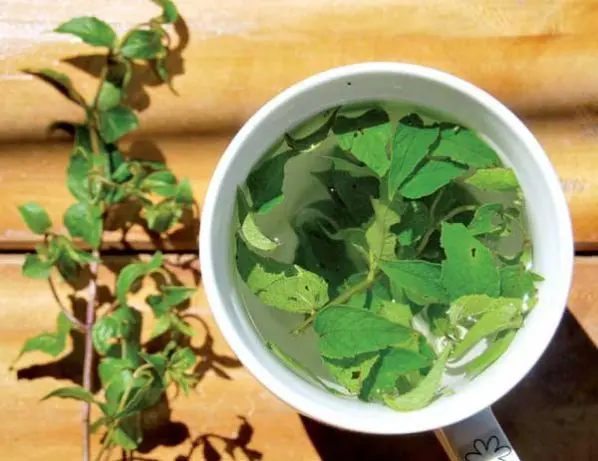 Muña tea